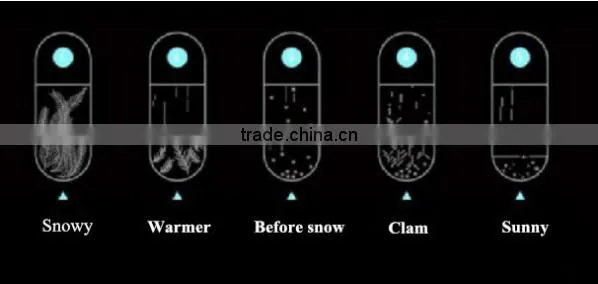 Creative Glob shap Heat-resistant glass Weather forcast Bottle