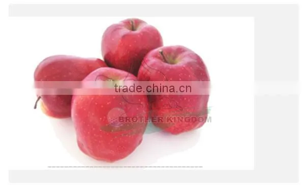 huaniu apple/ red delicious apple