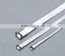 Stainless Steel Tie (ladder type ) 12*200