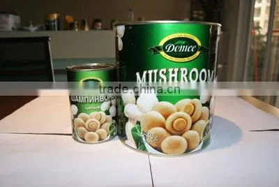 Canned Mushroom Whole In Brine