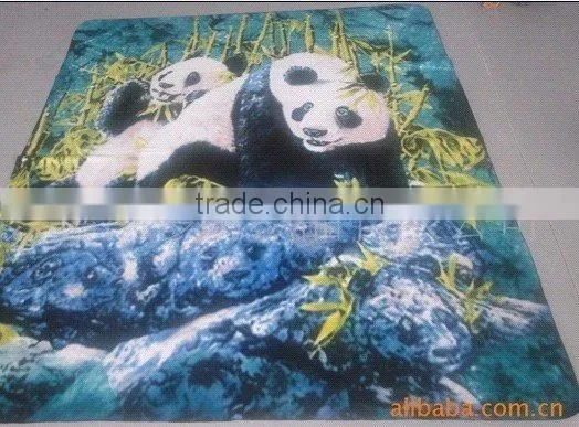 nice design and hot selling polar blanket