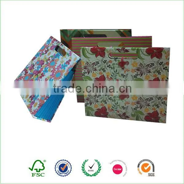 Custom hard case expandable folders