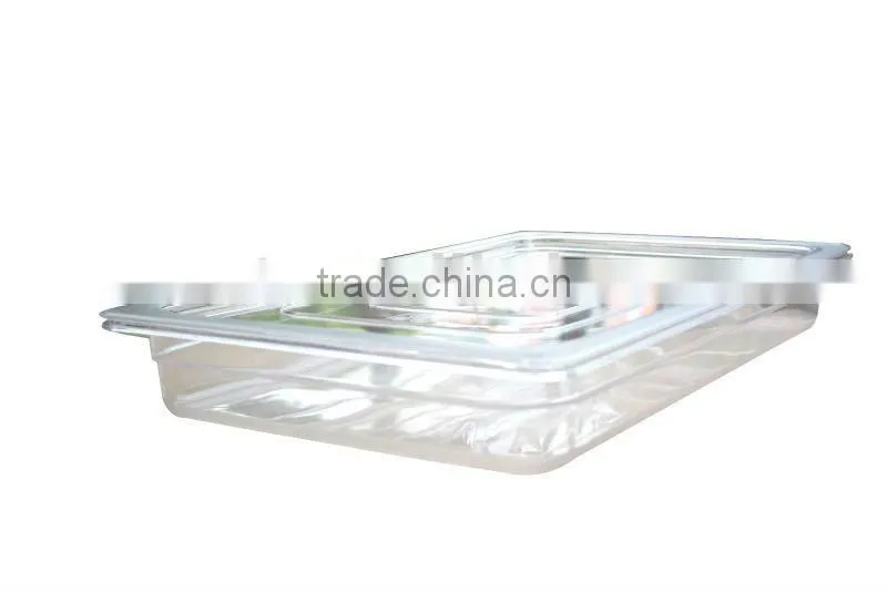 Polycarbonate Food Pan