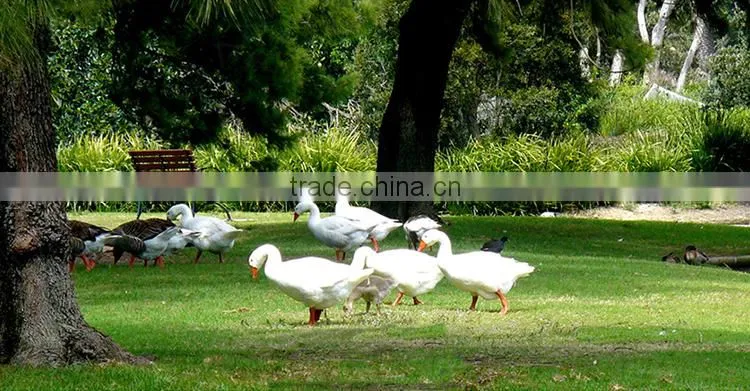 Good Price White Duck Feather Down Mattress Topper