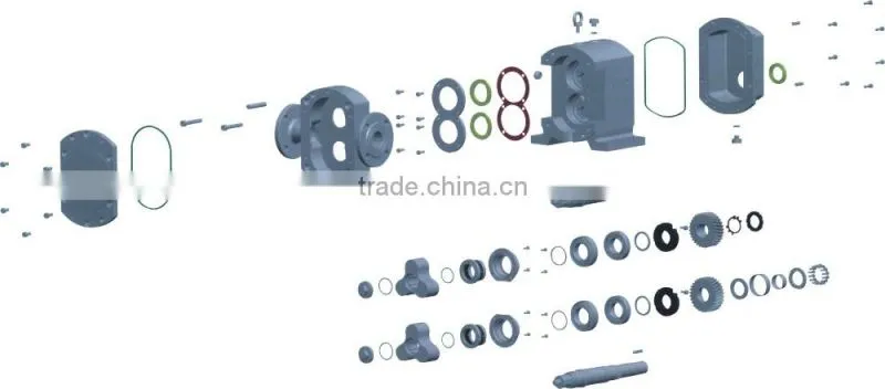 Stainless Steel 304 Hygienic Rotary Lobe Pumps