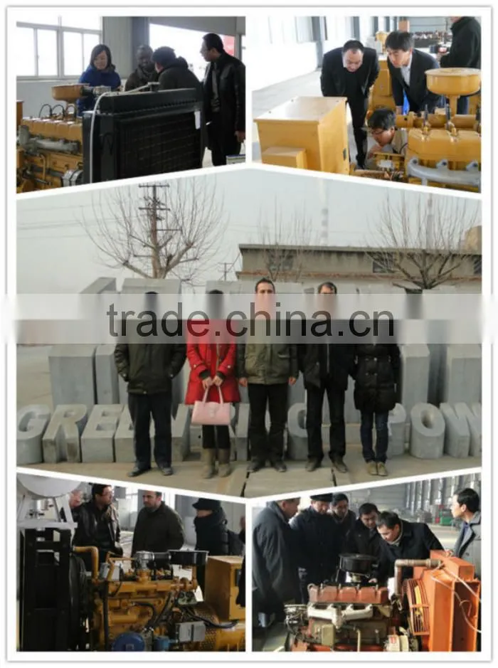 Factoy price International standard 10-600KW natural gas turbine power plant