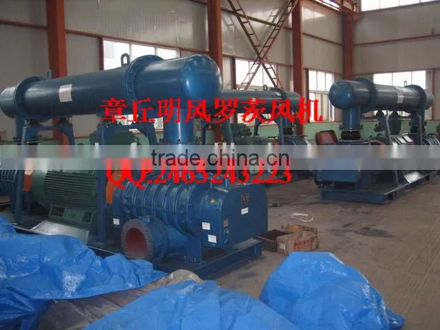 High Pressure Roots Blower