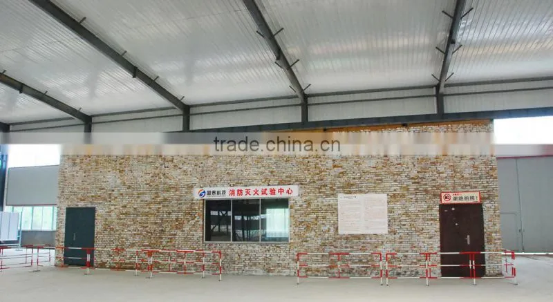 Remote control crawler-type fire extinguishing robot