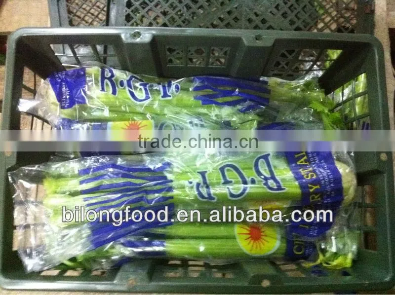 fresh mix vegetable from all china around