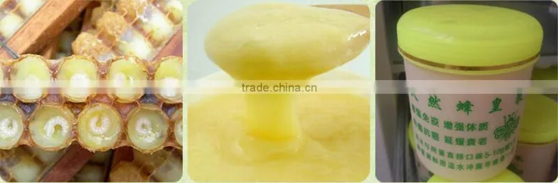 Wholesale Royal Jelly