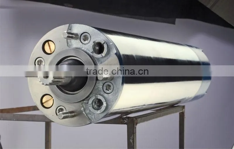 Submersible Motors