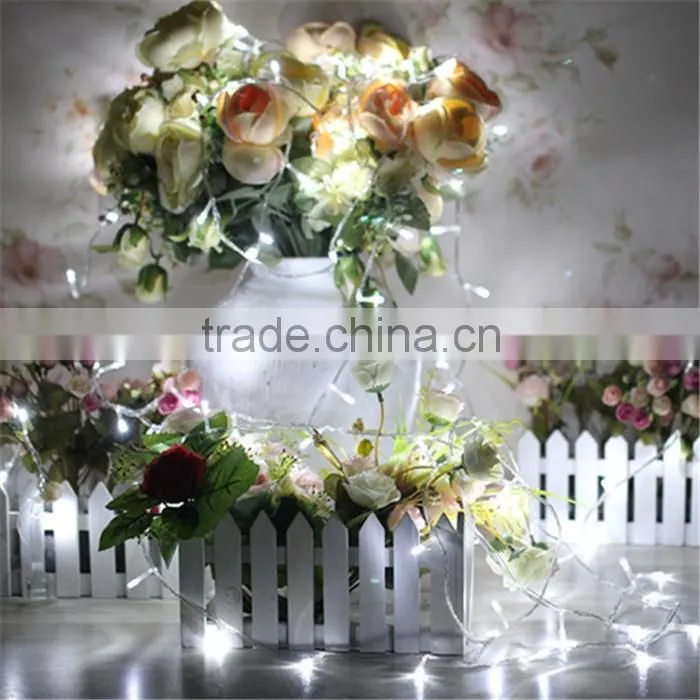Decorative LED Christmas String light