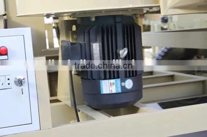 Pumpkin Seed Selecting Machine