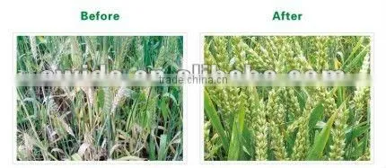 seaweed Mesne & microelement organic fertilizer