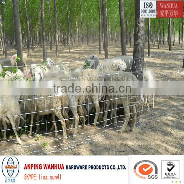 Anping Wanhua--Electric Grassland Field Fence