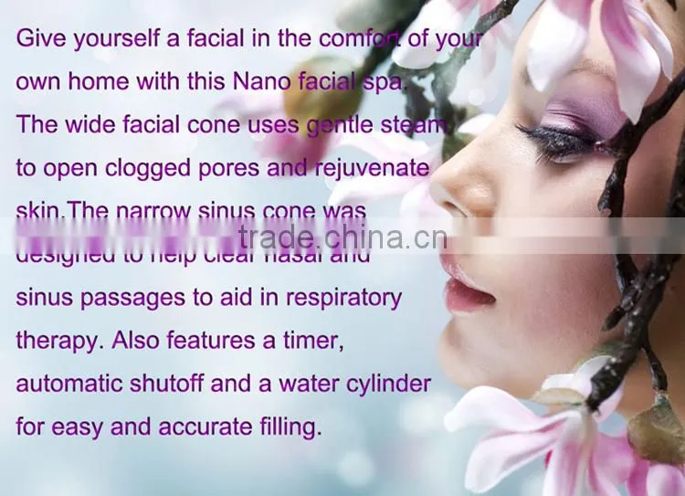 2017 beauty cheap salon Facial Steamer with ozone Moisturizer machine