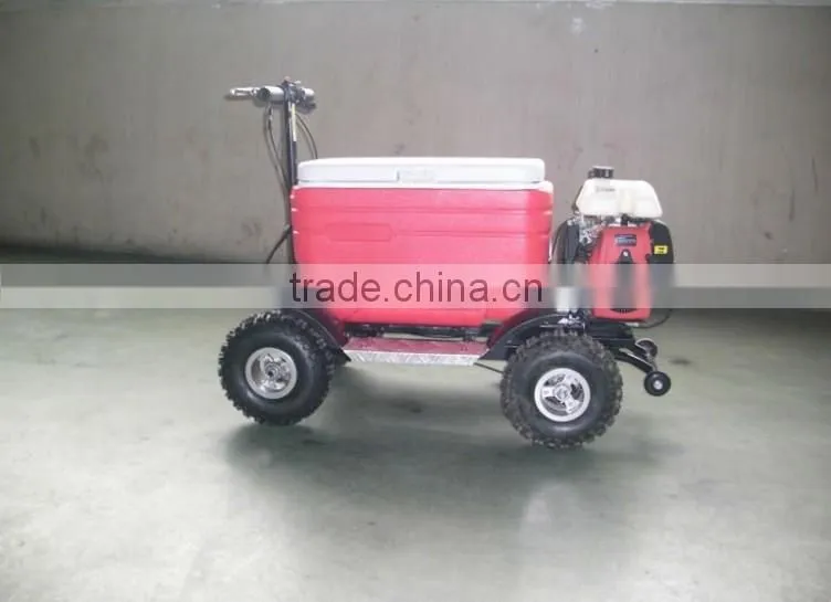 Hot sale 48L 43cc EPA gas Cooler Scooter/camping scooter (TKS-S43)