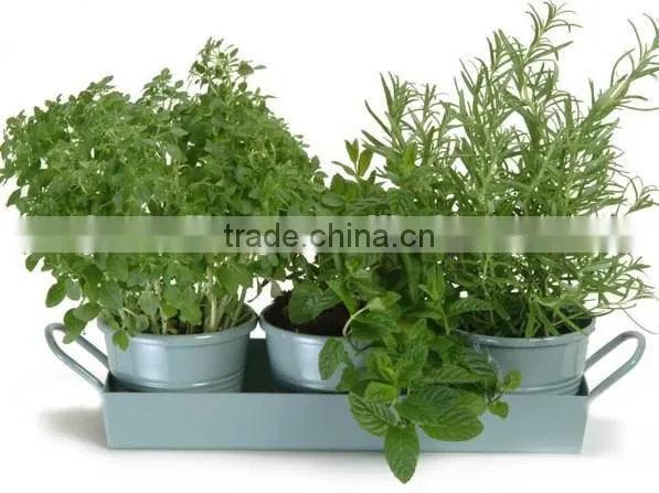 Home & garden flower plants metal square planter