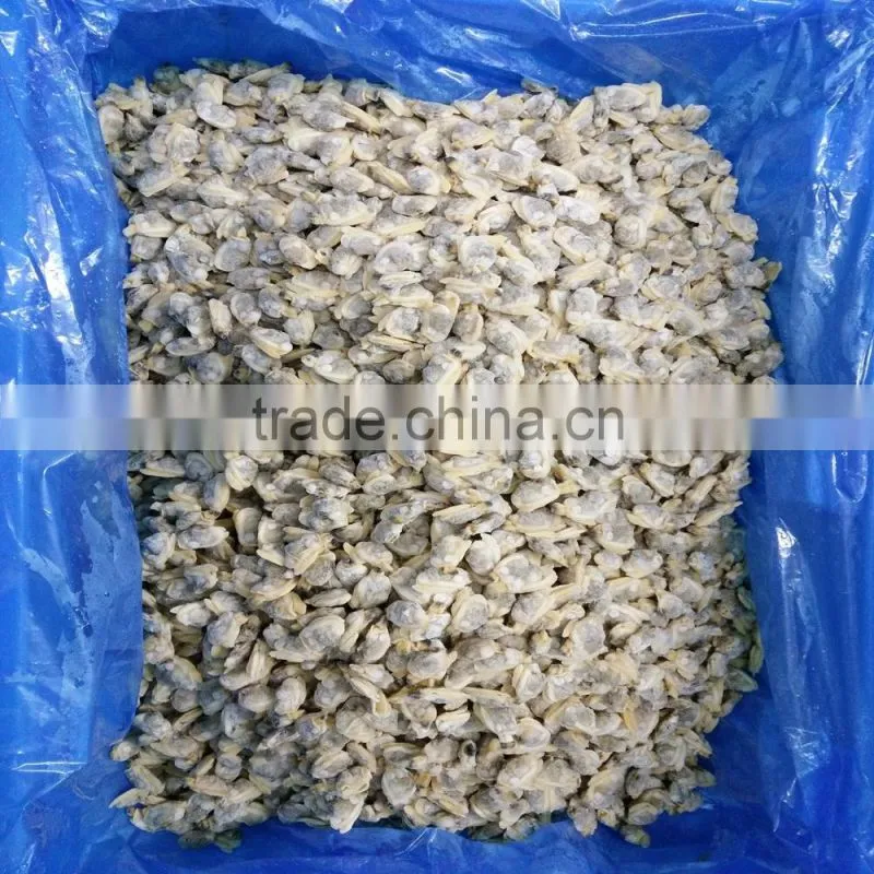 COOKED AND IQF FROZEN YELLOW CLAM MEAT