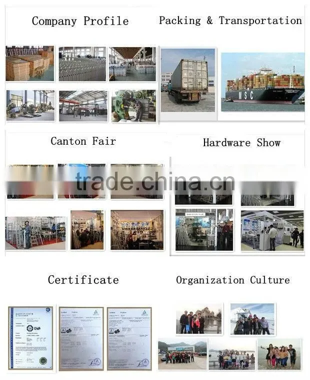 Alumnium combination Ladder
