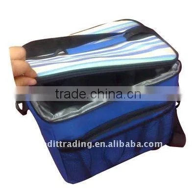 new design cooler bag for frozen food