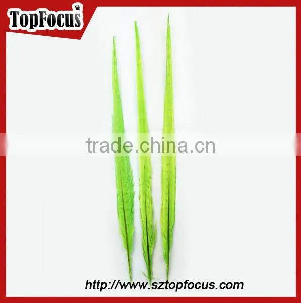 50-55cm assorted color dyed Pheasant tail feathers