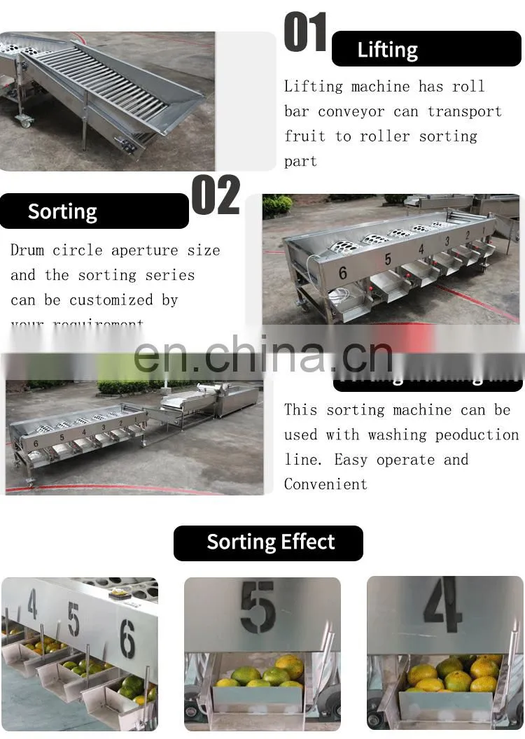 Efficient vegetable and fruit sorting machine/tomato grader /orange sorting machine