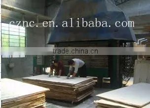 poplar plywood