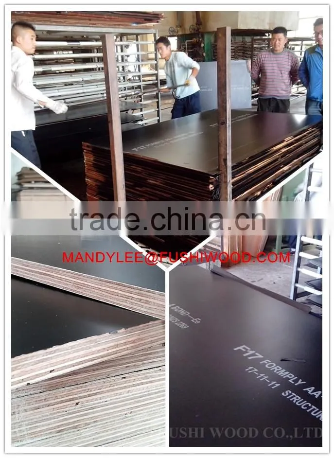 Formwork Plywood for Australia Market