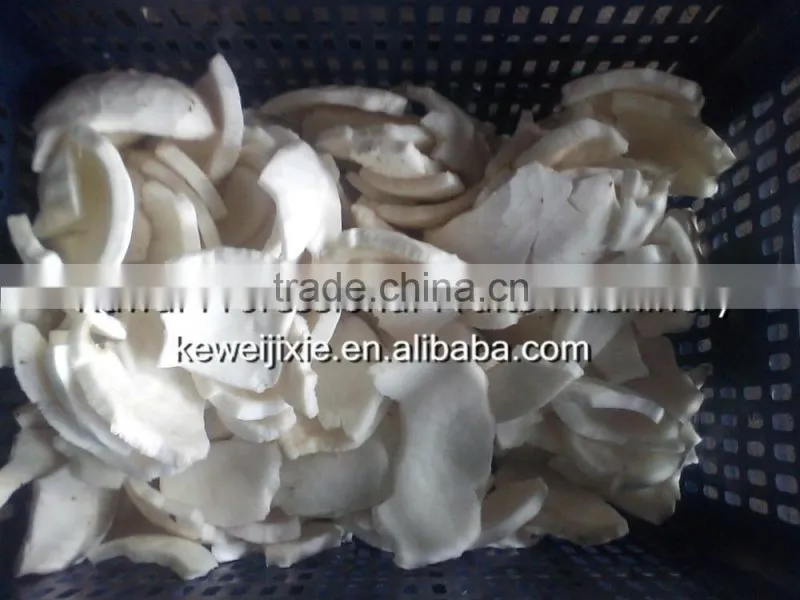 Coconut Meat Grating Machine Coconut Meat Grinder Machine