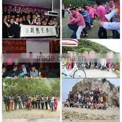Shenzhen Minieyes Electronics Technology Co., Ltd. company overview - view 3