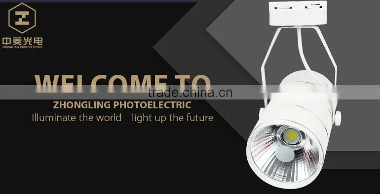 Aluminum 30w cob track light