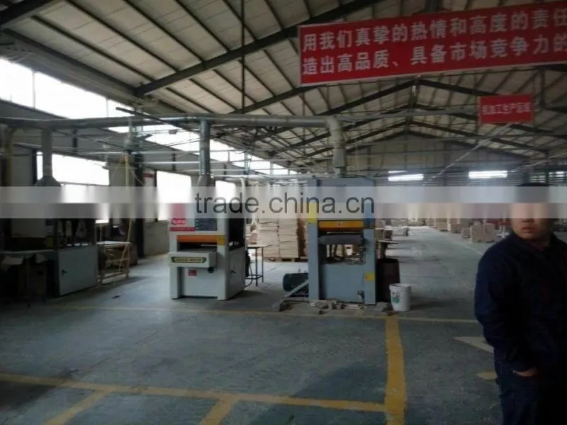 Bed slats LVL Pine / Birch wood logs Hardwood Popular Shandong