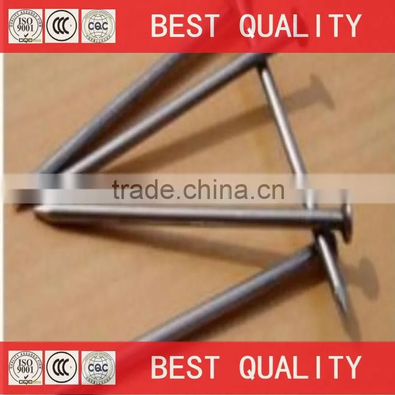 china best quality canton fair common nail