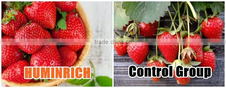 Huminrich Foliar Spray Water Soluble Fertilizer Chelate Mg