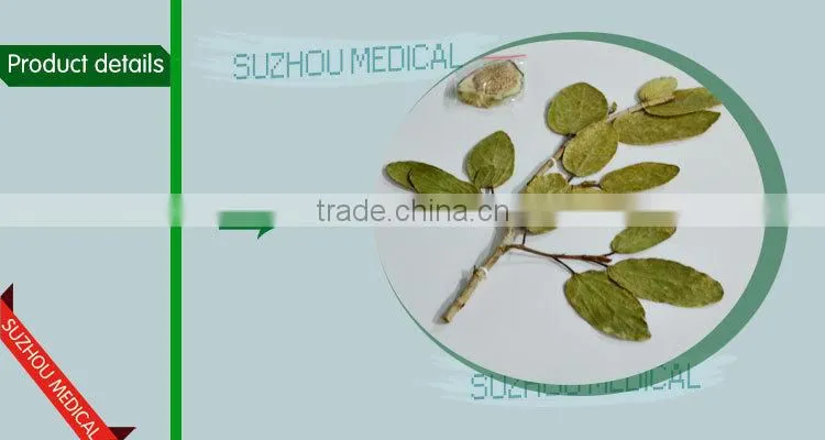 Medicinal Plants Herbarium