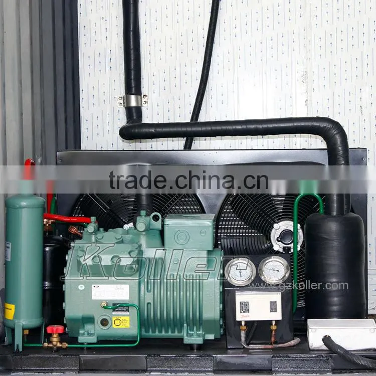 Koller hot sale small capacity cold storage room with refrigerators for fruits VCR20