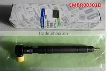2015 The original and genuine D-ELPHI Common rail fuel injector EMBR00301D from beacon machine