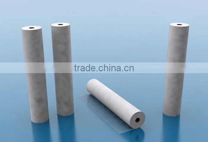 145g/m2 Fiberglass mesh in Russia