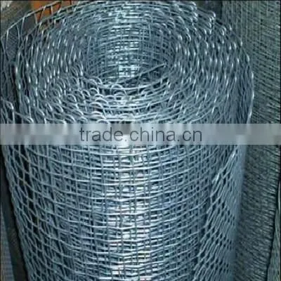 stainless steel square hole wire mesh/welded /Galvanized iron wire mesh