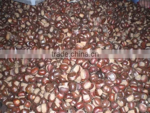 fresh chestnuts of 2016