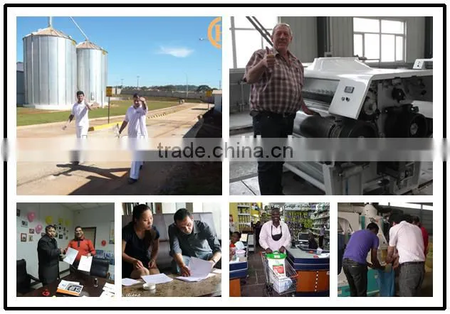 Small Scale Hot Sale 10T Corn Flour Milling Mill Machine