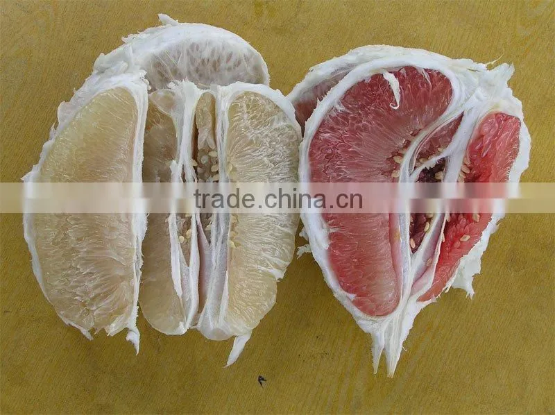 chinese sweet honey pomelo