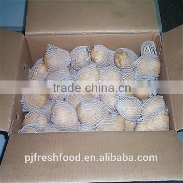 2015 Autumn Crop Potato