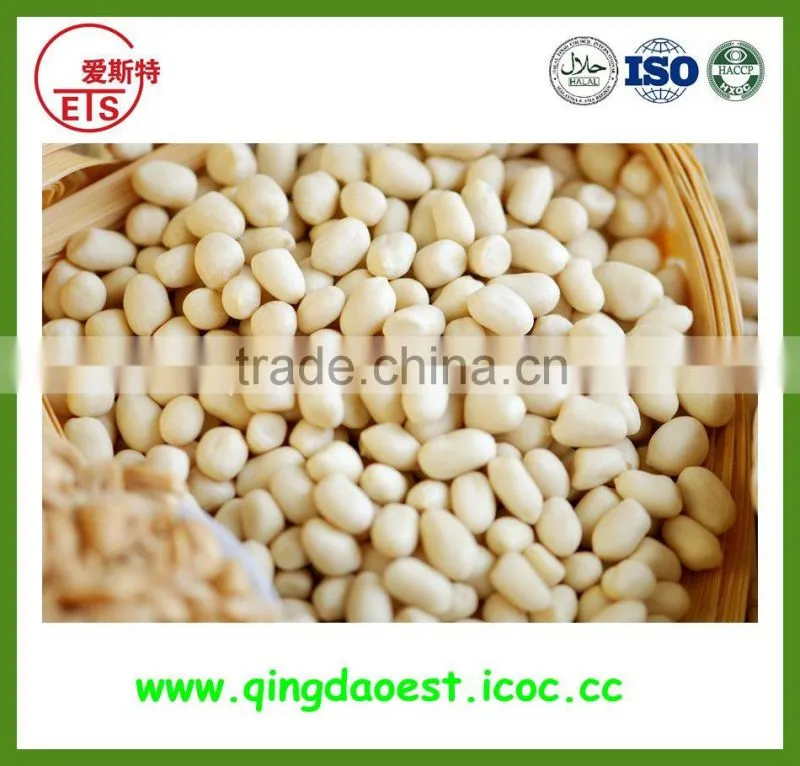 Wholesale high quality Chinese best price blanched peanut
