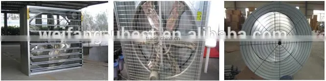 automatic broiler breeding system