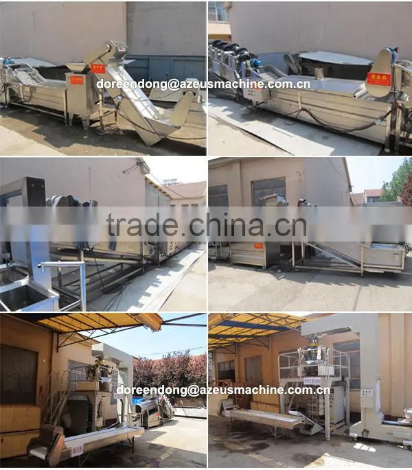 Full automatic frozen french fries maker/potato chips processing machine
