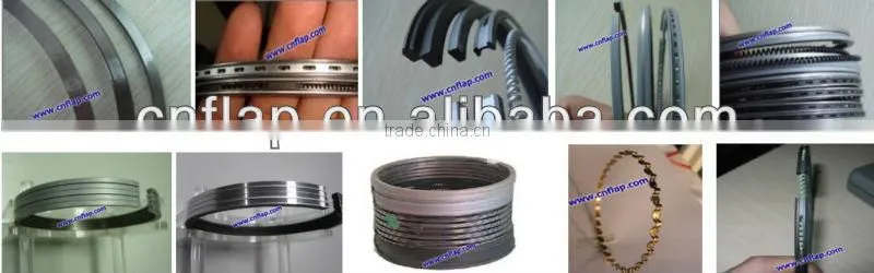 tp ring piston for DS50