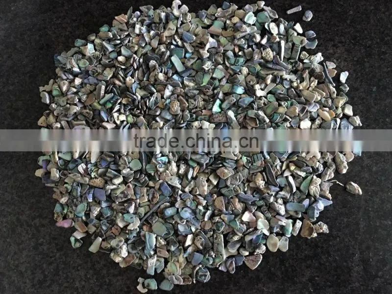 Natural paua crushed abalone shell chips