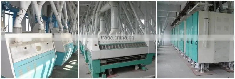 small scale wheat flour grinding machine price
